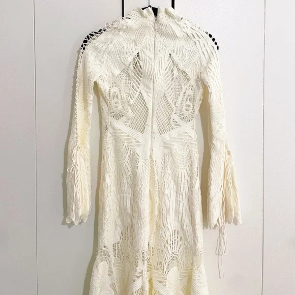 New Jonathan Simkhai Guipure Lace Gown - Picture 10 of 13